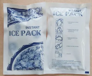 Pack de glace refroidissant pour l'été, appareil médical personnalisé, pièces