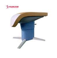 Table de gymnastique HAOGYM, équipement de gymnastique, cheval de sol avec 2 poignées
