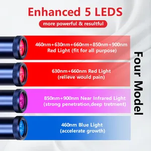 2024 New Design Light Therapy Pen 5 Led Handheld Flashlight Rechargeable Pulse Red Light Therapy Torch