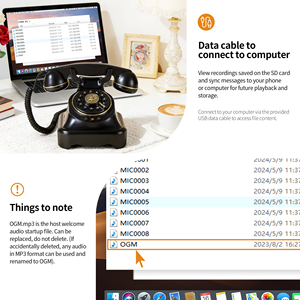 Telefono Vintage Antico per Libro degli Ospiti Audio per Eventi Nuziali, Registratore di Messaggi Vocali HD, Memoria da 16GB, Vendita all'Ingrosso - Product Image 6