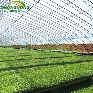 Serre agricole moderne intelligente complète pour semis, légumes, tomates hybrides, avec structure et panneaux en polycarbonate - Product Image 2