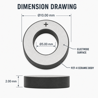 Élément transducteur ultrasonique en céramique piézoélectrique 10 * 5 * 2 mm pour détartreur dentaire, éliminateur de plaque dentaire, nettoyage buccal
