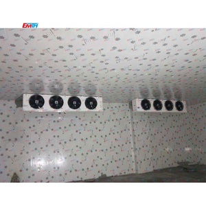Unit pendingin udara kualitas tinggi <span class=keywords><strong>Evaporator</strong></span> suhu rendah Coldroom EMTH untuk Unit pendinginan makanan laut dan bunga - Product Image 5