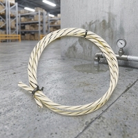 Détecteur de fuite d'eau intelligent Speed SPD-WL-07 pour maison connectée, câble de 4 mm de diamètre, alarme sonore, portée de détection de 500 m, fluoropolymère