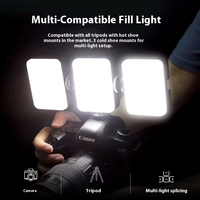 Lumière Selfie Portable à Angle Réglable pour Vlogging, Vidéos TikTok et Photos, Lampe Clip-on d'Extérieur pour Téléphone et Appareil Photo