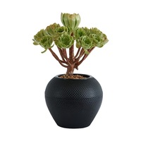 Pot bunga plastik putih Sphere Medium Nordic dengan desain ukiran untuk dekorasi taman luar ruangan atau penggunaan rumah