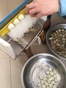 Pelador de huevos de pájaros portátil para el hogar, nuevo dispositivo Manual para pelar y descascarar huevos de codorniz - Product Image 4