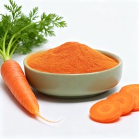 Wortelsappoeder voor bakkerij, drankenkleuring, natuurlijk wortelsappoeder, wortelsappoeder