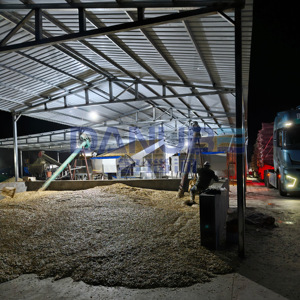 Secador de Semillas de Girasol con Banda de Malla de Ahorro Energético, Equipo Deshidratador de Semillas de Girasol, Máquina para Secar Frutos Secos - Product Image 3