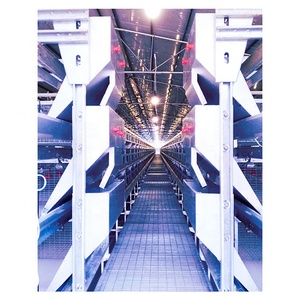 Système de cage à batterie Zhuo Yi H-Type 4/5/6 niveaux <span class=keywords><strong>en</strong></span> vinyle, durée de vie 25 ans, capacité 20000 œufs, pour élevages commerciaux, faible taux de bris d'œufs - Product Image 6