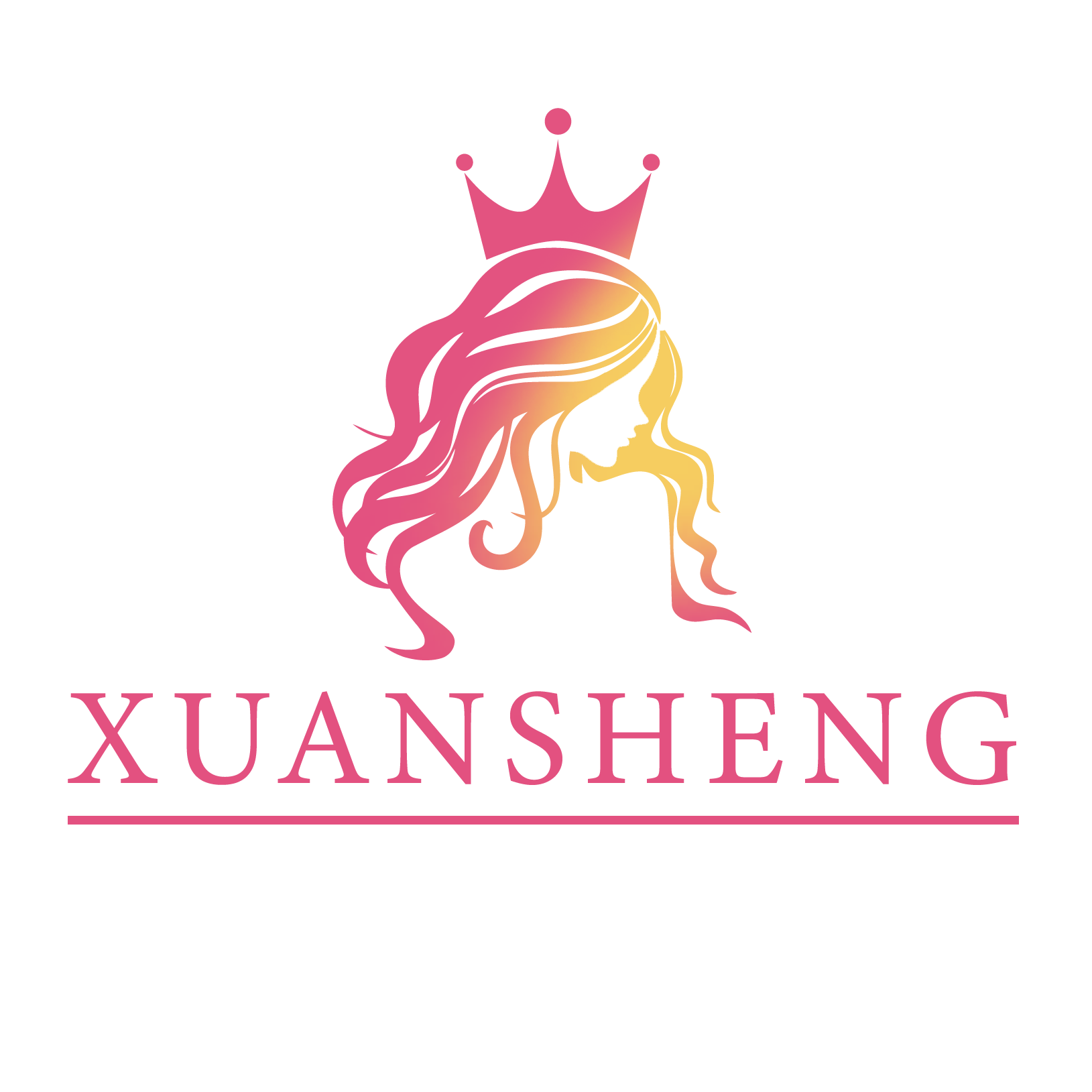 Guangzhou Xuansheng Trading Co., Ltd. logo