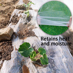 Pellicola di plastica 30 Micron a strisce nere e trasparenti per cipolle e <span class=keywords><strong>Film</strong></span> di pacciame agricolo - Product Image 4