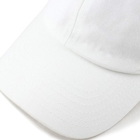 Gorra de Béisbol Deportiva de 6 Paneles con Parche de Bordado de Animales Personalizado, Ajustable, para Hombre y Mujer, de Algodón, Estilo Hip Hop