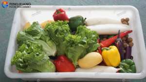 Industriële Spray Luchtbel Groenten En Fruit Wasmachine Met Transportband - Product Image 5