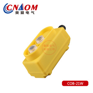 CNAOM COB-21W <b>Push</b> <b>Button</b> <b>Switch</b> 2NO Screw Terminal IP65 Plastic For Electric Hoist Control - Product Image 1