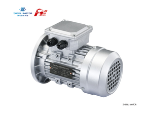 <span class=keywords><strong>Motor</strong></span> Eléctrico <span class=keywords><strong>de</strong></span> Bomba Serie MS IE1 2P 0.18kw 0.37kw 0.55kw 0.75kw 0.25HP 0.5HP 0.75HP 1HP B3 con Certificación CE ISO9001 EAC CCC - Product Image 3
