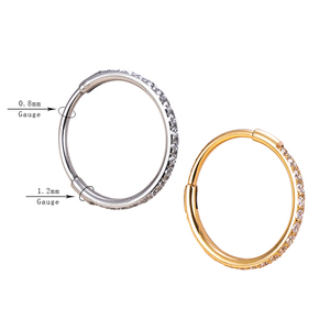 Anneau segmenté à charnière en titane de qualité implantable GZN ASTM F136, 20G, pour piercings de nez, bijoux de corps - Product Image 1