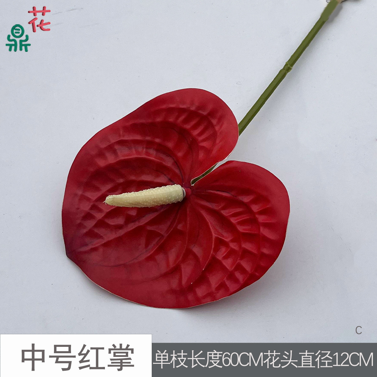 Anthurium rouge moyen C 14 pointe noire rouge
