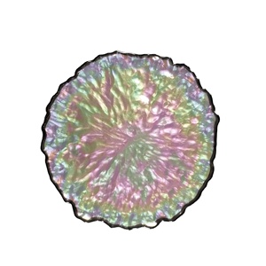 Elegante plato de vidrio blanco perla, placa de vidrio recortada en oro, placas decorativas para cargador de vidrio para aperitivos para fiesta - Product Image 1