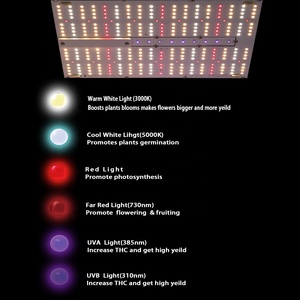 Bvgeen – lampe de croissance Led à bruit élevé umol/S 0DB CO2 <span class=keywords><strong>2022</strong></span> W pour agriculture verticale intérieure 2x4 avec lumière uv ir 270 - Product Image 3