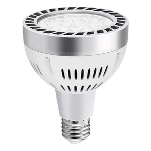 Lampadina a Led rotonda di alta qualità tutto bianco shell COB 45W Par30 Spot Light