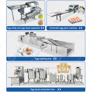 Linea di Produzione <span class=keywords><strong>ORME</strong></span> per la Classificazione delle Uova, Selezionatrice Automatica di Uova, 4000 Uova all'Ora - Product Image 5