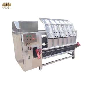 Machine d'écorchage des poils de chèvre, mouton, cochon – Machine à dépoiler les pattes de chèvre pour équipement de ligne d'abattage du bétail - Product Image 4