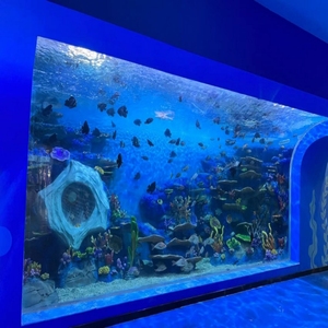 Acuario de pecera acrílico redondo cilindro grande personalizado - Product Image 3