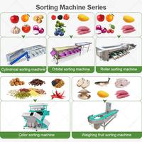 Fruit Ui Tomaat Citrus Kwaliteit Jujube Industrieel Groente Sorteermachine en Droogmachine