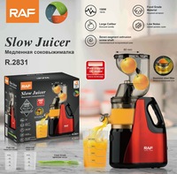 RAF US 110V Huishoudelijke apparaten Pulpseparator Volledig Automatische Multifunctionele Fruit- en Groente Slow Cold Press Sapcentrifuge Extractor