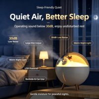 Nouvel Arrivage : Humidificateur pour Animaux de Compagnie en Forme de Capsule Spatiale Mignonne, Grand Volume de Brume, Diffuseur Portable USB Type C pour Bureau, Maison, Voiture, Hôtel