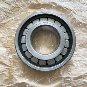 Высокоточный цилиндрический роликовый подшипник DST NF318 NF319 NF320 подшипник механизма передачи - Product Image 4