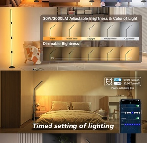 Dẫn tầng thường vụ đèn góc ánh sáng rgbic điều khiển từ xa âm nhạc đồng bộ bầu không khí đèn - Product Image 6