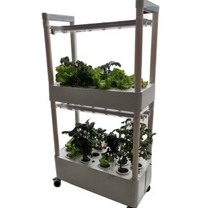 <span class=keywords><strong>Casa</strong></span> verde automática desmontable para marco de cultivo hidropónico - Product Image 1