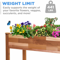 Jardinière surélevée en bois de style classique pour la culture de plantes aromatiques, légumes, fleurs et succulentes