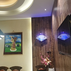 Lampe anti-insectes en forme d'éventail avec LED - Design chinois traditionnel pour le contrôle des mouches et des insectes dans les bureaux et les espaces commerciaux - Product Image 4