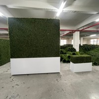 Support de toile de fond mural en fer massif et détachable, couleur champagne, pour décoration de mariages, fêtes et événements, vente en gros