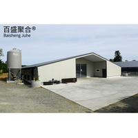 Estructura de acero comercial Broiler Granja avícola Cobertizo Casa de pollo prefabricada Diseños para la venta