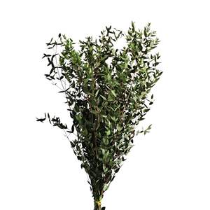 100% naturel conservé tiges d'<span class=keywords><strong>eucalyptus</strong></span> séchées Bundle pour noël aromathérapie SPA mariage douche décor préservé noël - Product Image 5