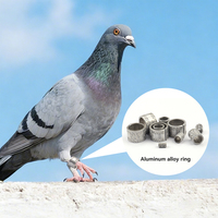 Bagues pour oiseaux en alliage d'aluminium, bagues ouvertes pour pattes de pigeon de 5 mm à 16 mm, bagues pour pattes de perroquet, pinson, aigle, faucon, en vente