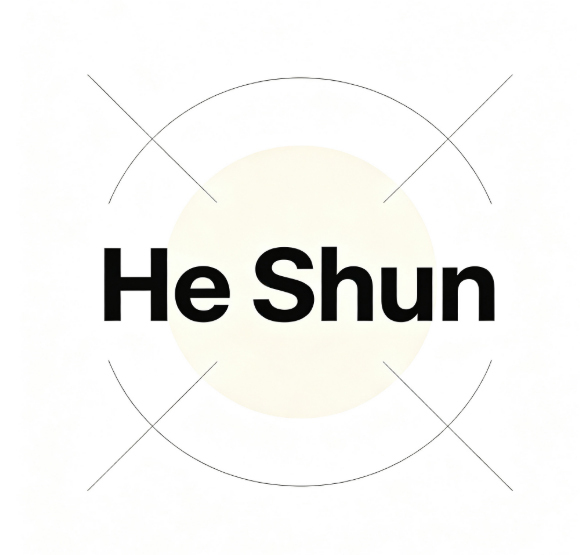 HESHUN INTERNATIONAL (HK) LIMITED logo