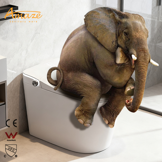 Hotel Ceramic Sanitary Ware Water Closet Electric Intelligent Toilet Bowl Floor Mounted Bathroom One Piece Smart Toilet Bidet