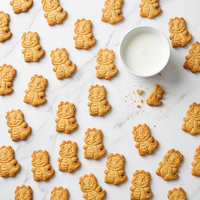 Biscuits semi-durs décoratifs en forme de personnages de dessins animés, certifiés Halal, en gros, formule personnalisée, emballés en boîte