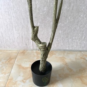 Le 2024 Top Vente de Haute Qualité <span class=keywords><strong>Oliver</strong></span> Tree En Gros Artificiel Voyageur Arbre pour la Décoration Intérieure De 60cm à 240cm - Product Image 5