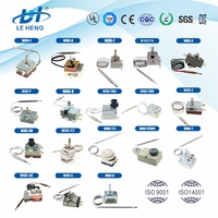 Thermostat capillaire WHD-B-CU fabriqué en Chine, avec sonde en cuivre haute précision pour autocuiseur, disponible chez les fournisseurs chinois en ligne.