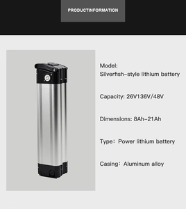 Silver Fish Dual Fuses Typ Große Kapazität 48V 36V 10Ah E-Bike Lithium batterie für faltbares E-Bike