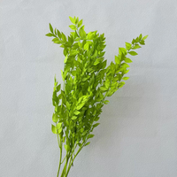 Heetverkopende natuurlijke plant Rucus bladeren, gedroogde Rucus bloemen voor thuis, bruiloft, vaasdecoratie