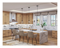 Armoire de cuisine en bois de style européen contemporain, intégrée, avec placage, stratifié, pour restaurant, garde-manger, rangement
