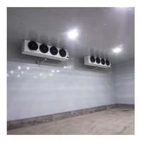 Congelador de pescado de cámara frigorífica Industrial personalizado de 20 pies, unidad de condensación de 125HP-225HP, componente de núcleo de compresor de refrigeración Industrial
