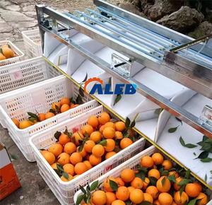 Machine de triage des fruits et légumes à faible consommation d'énergie, en acier inoxydable, pour une utilisation industrielle et agricole à long terme - Product Image 4
